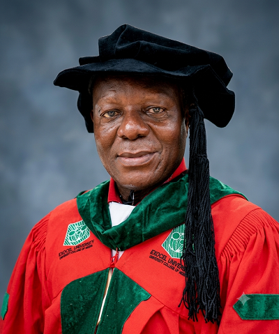 Ambassador Professor Michael Nwokolo